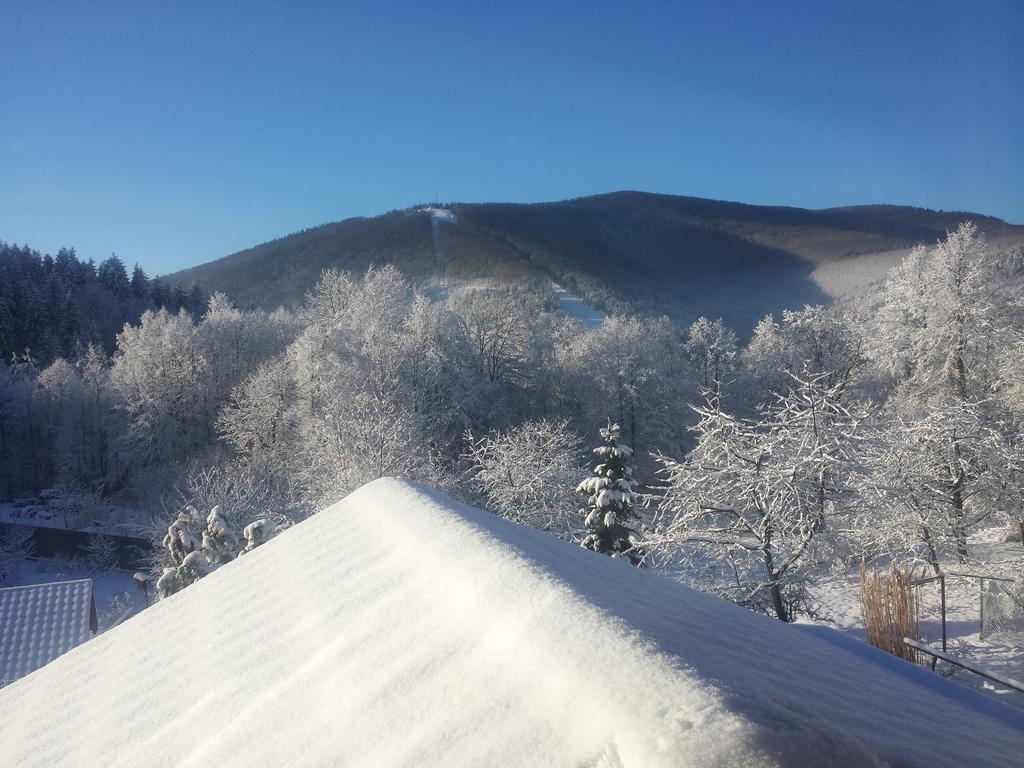 Pokoje Na Skalicy Ustron Luaran gambar